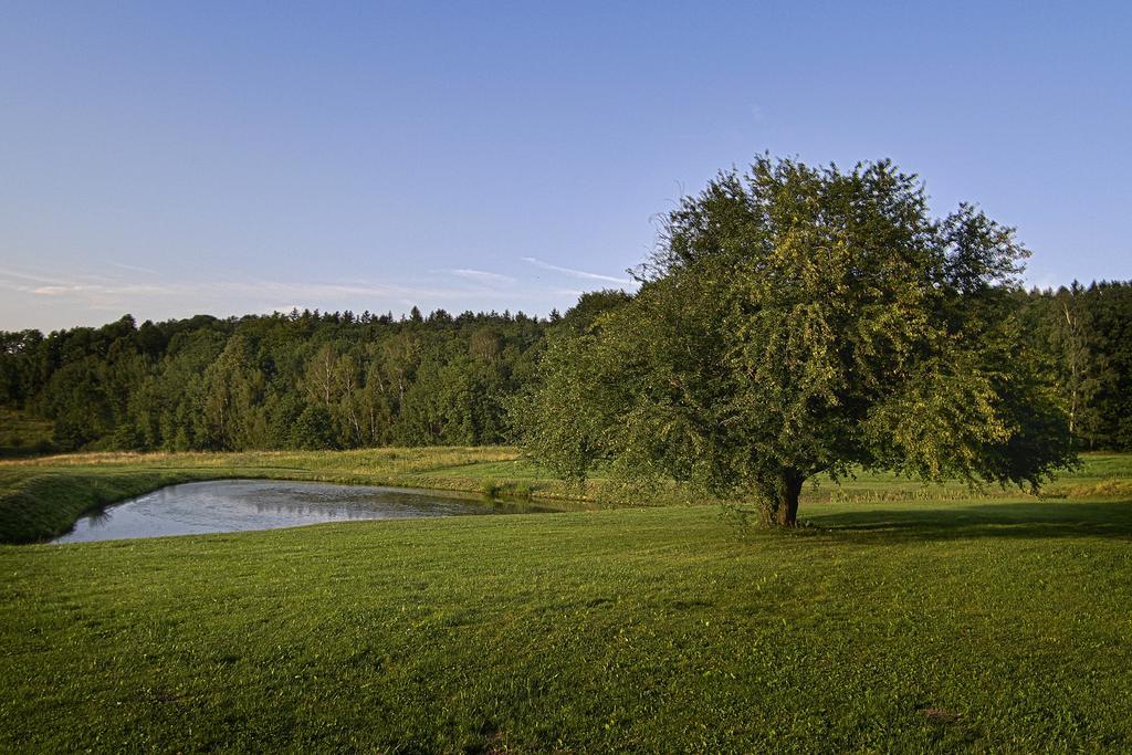 Gosciniec Nowa Wioska Bed & Breakfast Wałbrzych Dış mekan fotoğraf